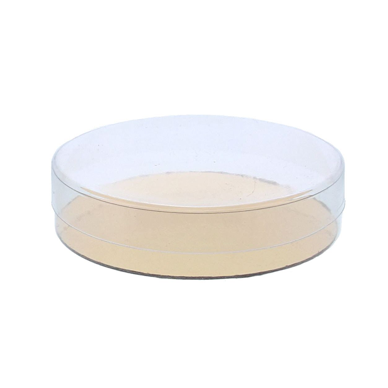 PVC ronde transparante doos met goudkarton