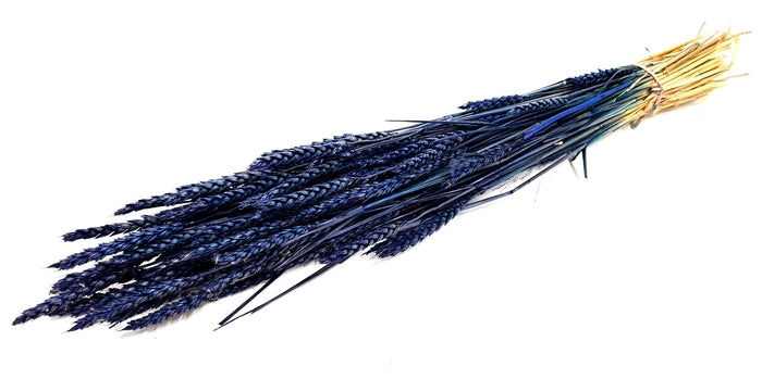 Triticum (meerdere kleuren)