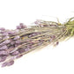 Phalaris (meerdere kleuren)
