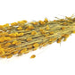 Phalaris (meerdere kleuren)